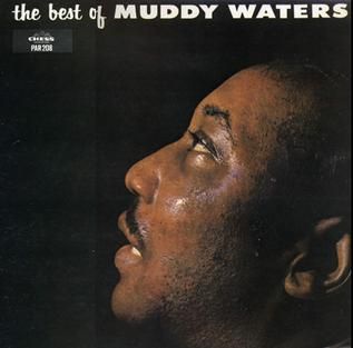 Muddy Waters - The Best of Muddy Waters LP