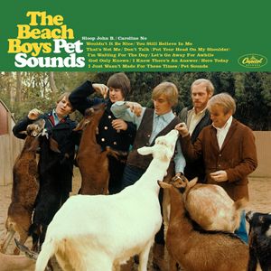 Beach Boys - Pet Sounds (Coke Bottle Clear Vinyl) LP