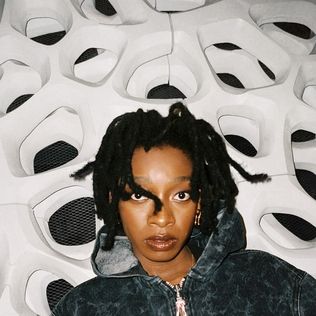 Little Simz - No Thank You (2LP-clear vinyl)