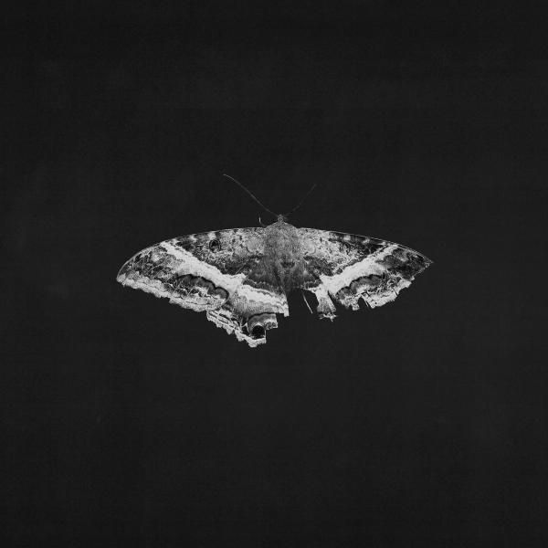 Kendrick Lamar - To Pimp a Butterfly (10th) (2LP-180g black vinyl)
