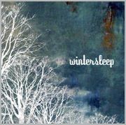 Wintersleep - Wintersleep (Marble Vinyl) LP