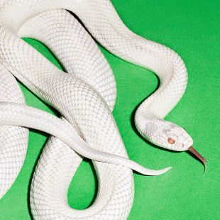 Deftones - Private Music (Clear Vinyl) LP