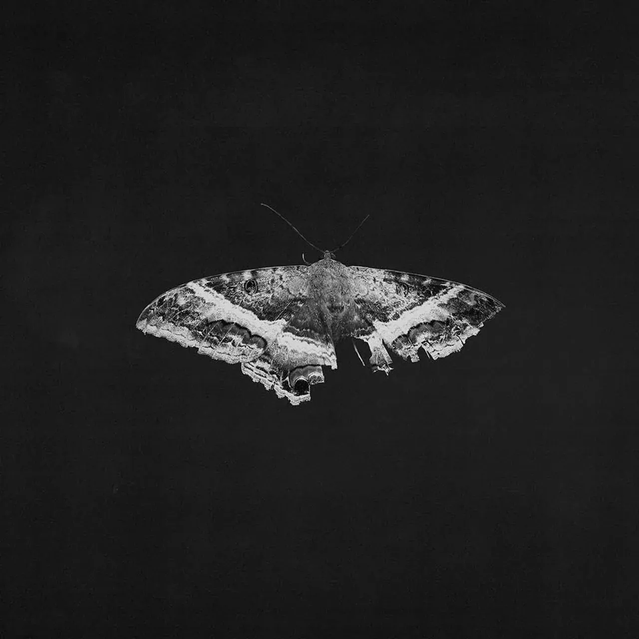 Kendrick Lamar - To Pimp a Butterfly (10th Anniversary 2LP)