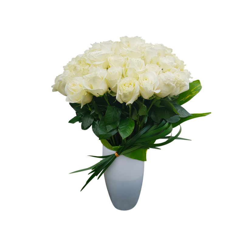 Tribute - Luxe
