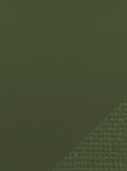 Craft Perfect Weave Cardstock Avacado Green 8.5x11