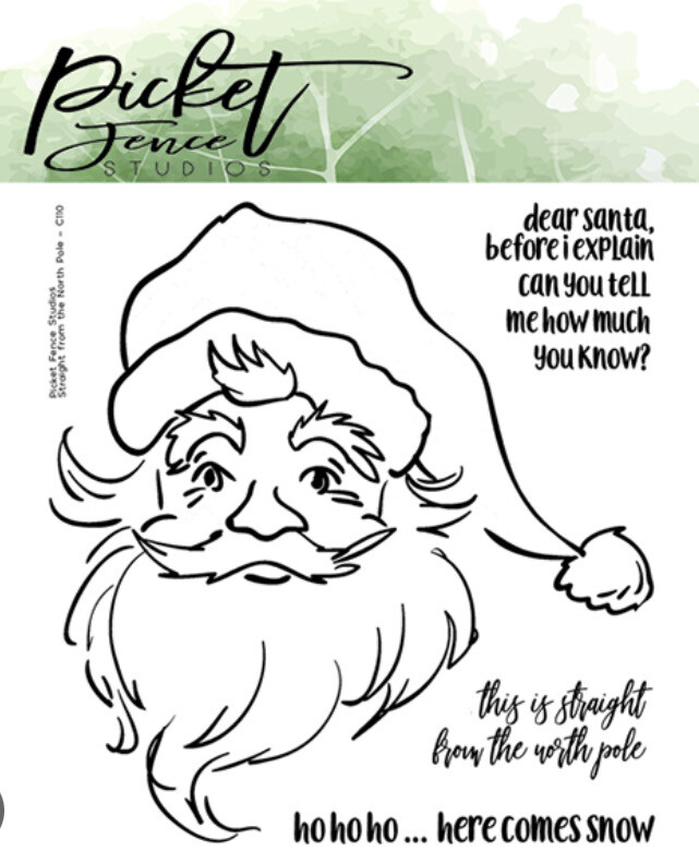 Straight From The North Pole - Santa Clear Stamp