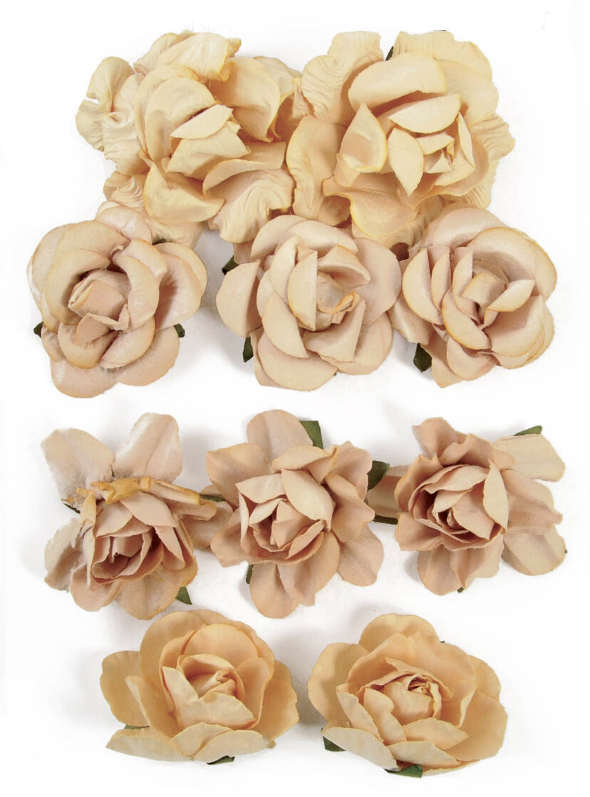 Honey Paper Blooms 10/pk