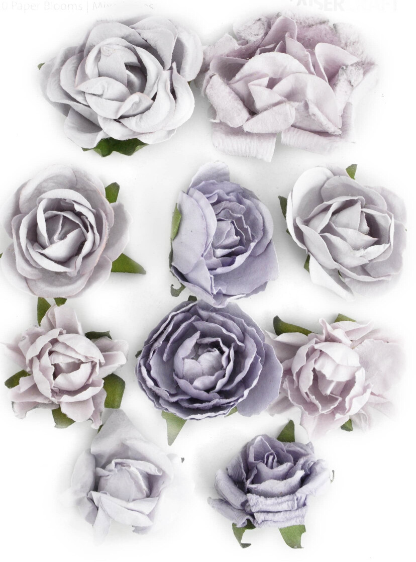 Misty Paper Bloom 10/pk