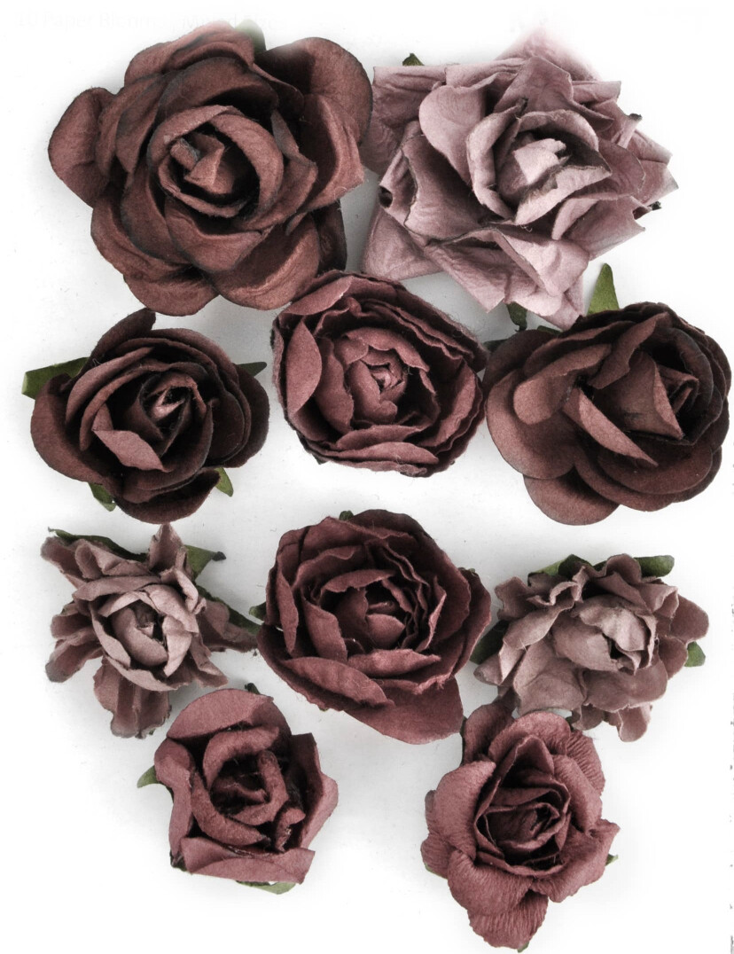 Aubergine Paper Blooms 10/pk