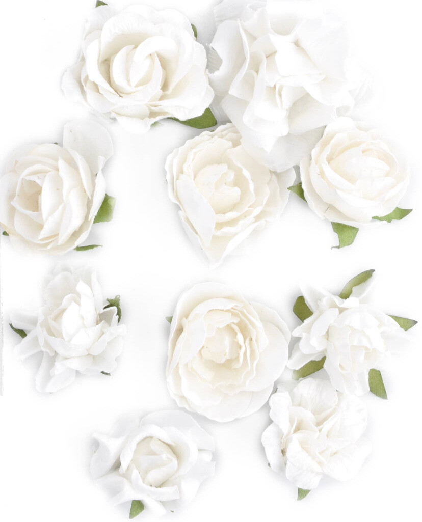 Coconut Paper Blooms 10/pk