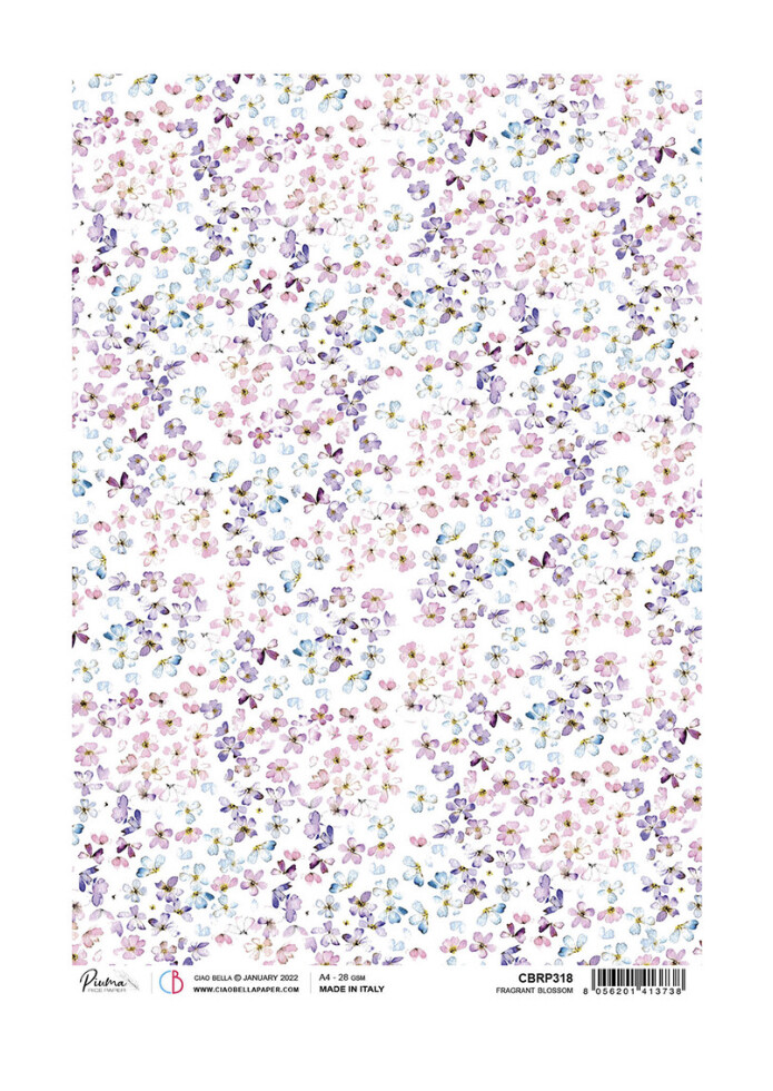 A4 Piuma Rice Blooming Fragrant Blossom
