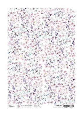 A4 Piuma Rice Blooming Fragrant Blossom