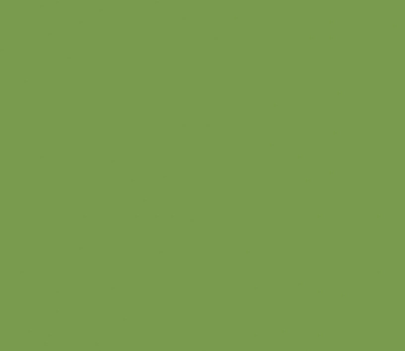 12x12 Weave Cardstock- Lime