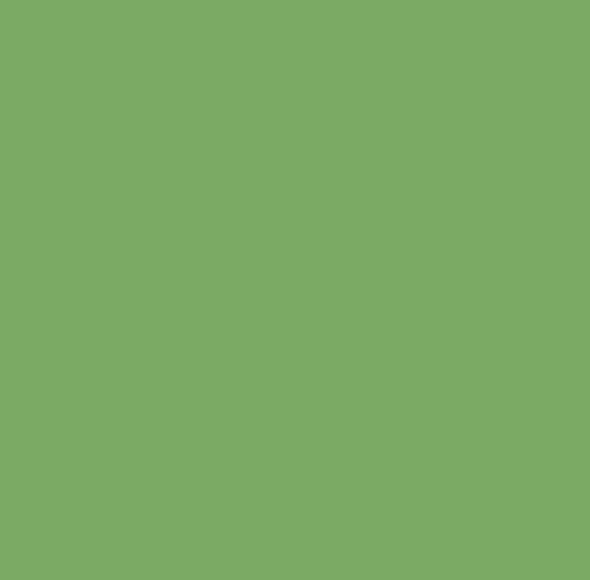 12x12  Weave Cardstock - Frog
