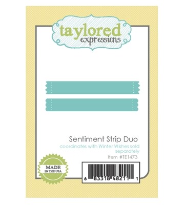 Sentiment Strip Duo 2pcs