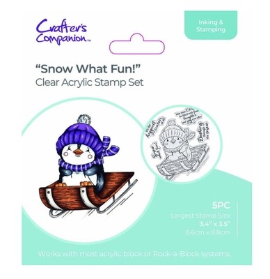 Clear Stamp- Snow What Fun