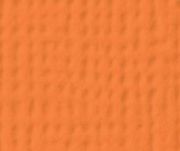 AC Carrot - 12x12 Textured Cardstock