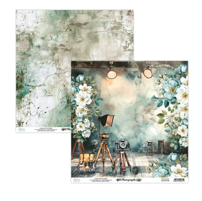 12x12 Patterned Paper - Photographer 03