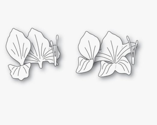 Gladiola F!oral Duo - Die