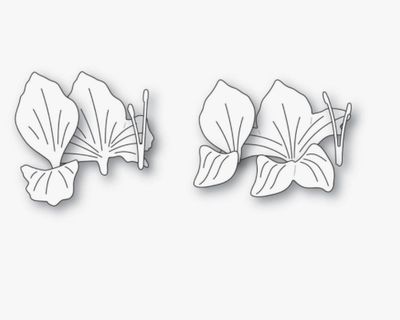 Gladiola F!oral Duo - Die