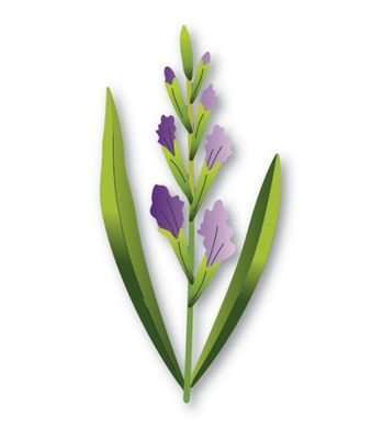 Budding Gladiola Stem - Die