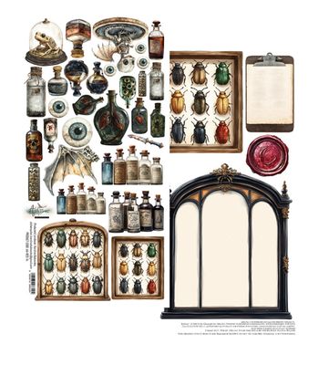 Alchemy Of Arts Behind Closed Doors - 6x12 Extra Sheet Single Cabinet Of Curiosities