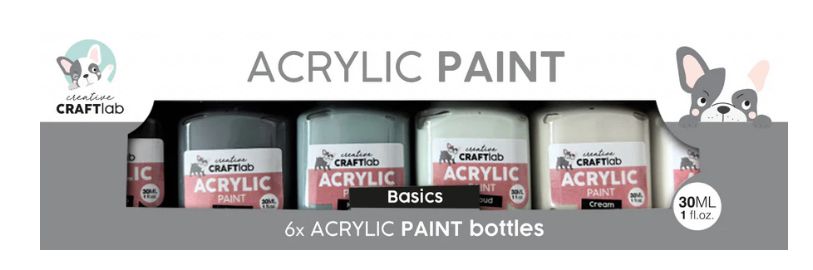 Acrylic Paint - Basic Essentials 6 Bottles