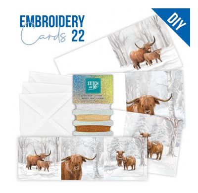 Find It Trading Berries Beauties Hobbydots Stitch &amp; Do Embroidery Cards 22 Sturdy Winter