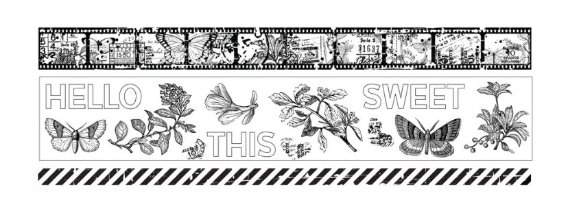 Arden Creative Studio - PET Tape Set Field Notes