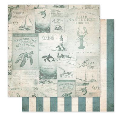 Paper Rose - Seaside Memories Basics D 12x12 Single Sheet