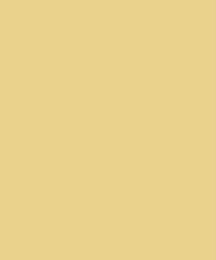 Matt-tastic Adorable Scoreable - A4 Cardstock Honey Single Sheet