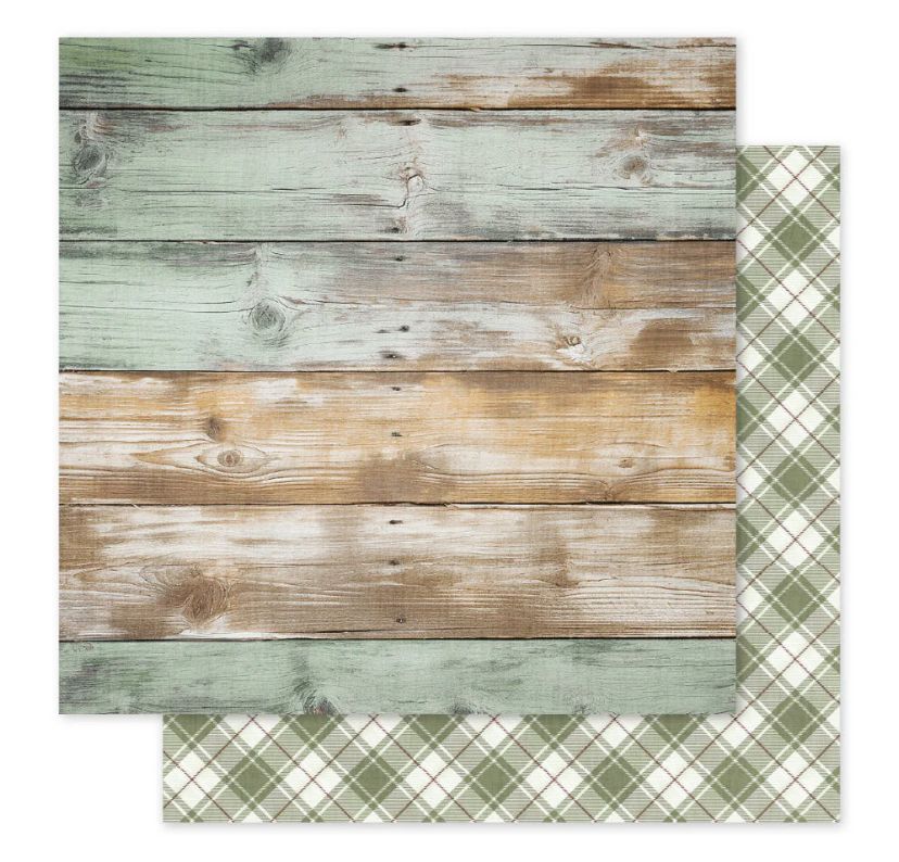 Paper Rose Studio - The Carrot Patch Patterns C 12x12 Single Sheet