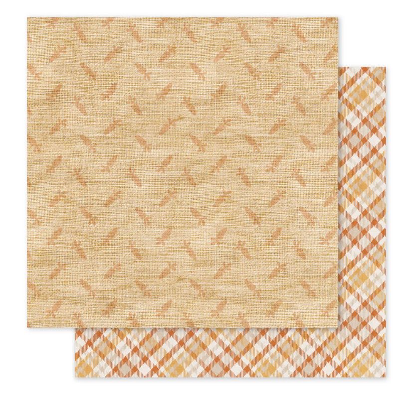 Paper Rose Studio - The Carrot Patch Patterns A 12x12 Single Sheet