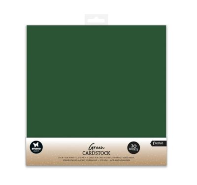 SL - 12X12 Christmas Green Cardstock 10 Sheets