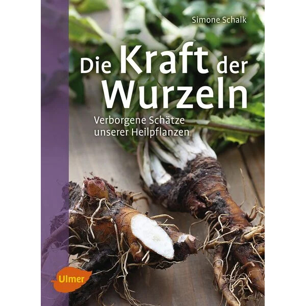 Die Kraft der Wurzeln