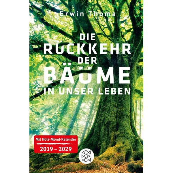 Die Rückkehr der Bäume in unser Leben