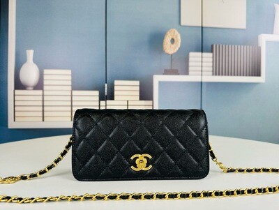 Chanel women bag CB15