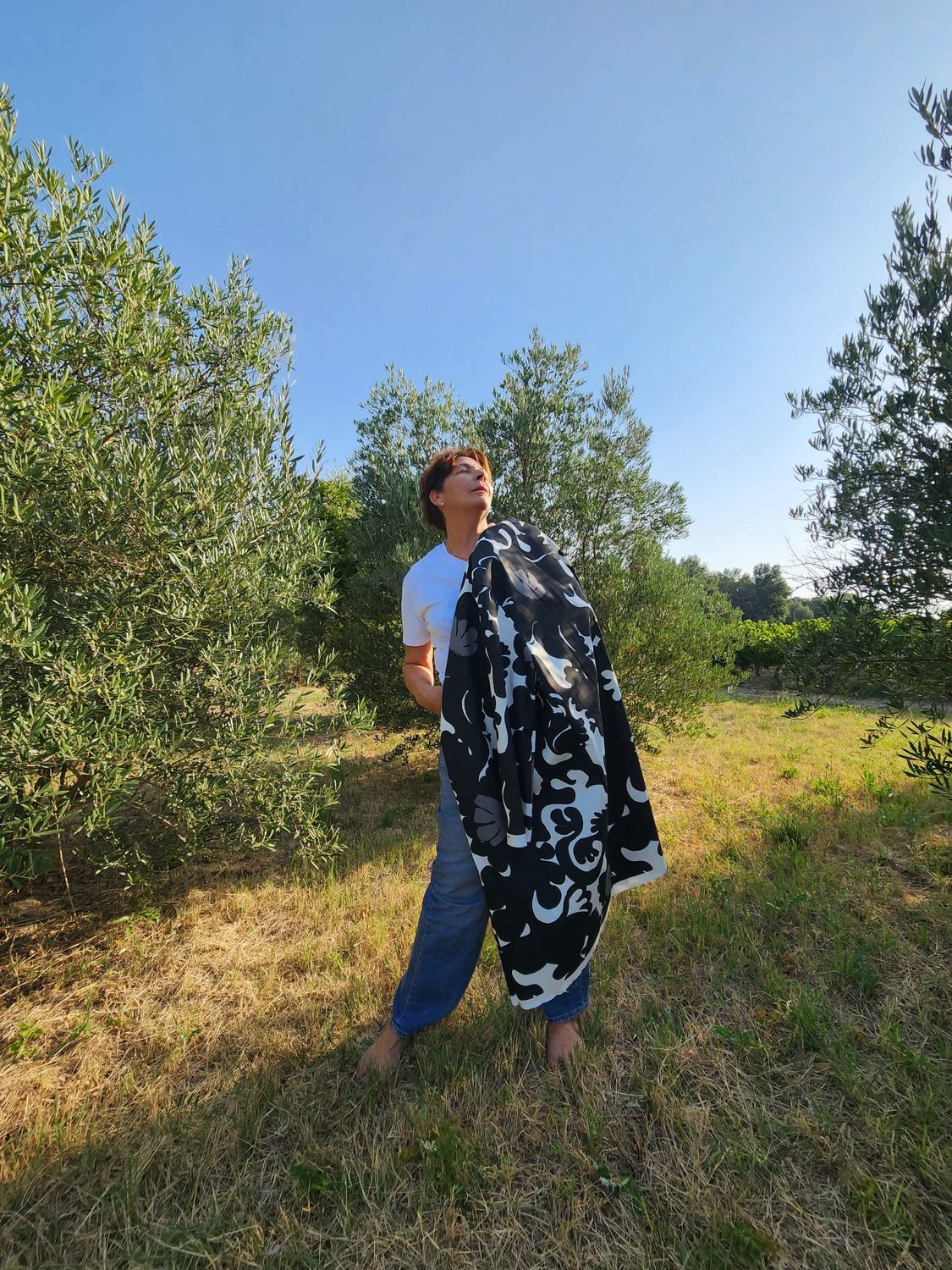 Le Cache-Poussiere