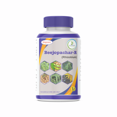 Beejopachar R