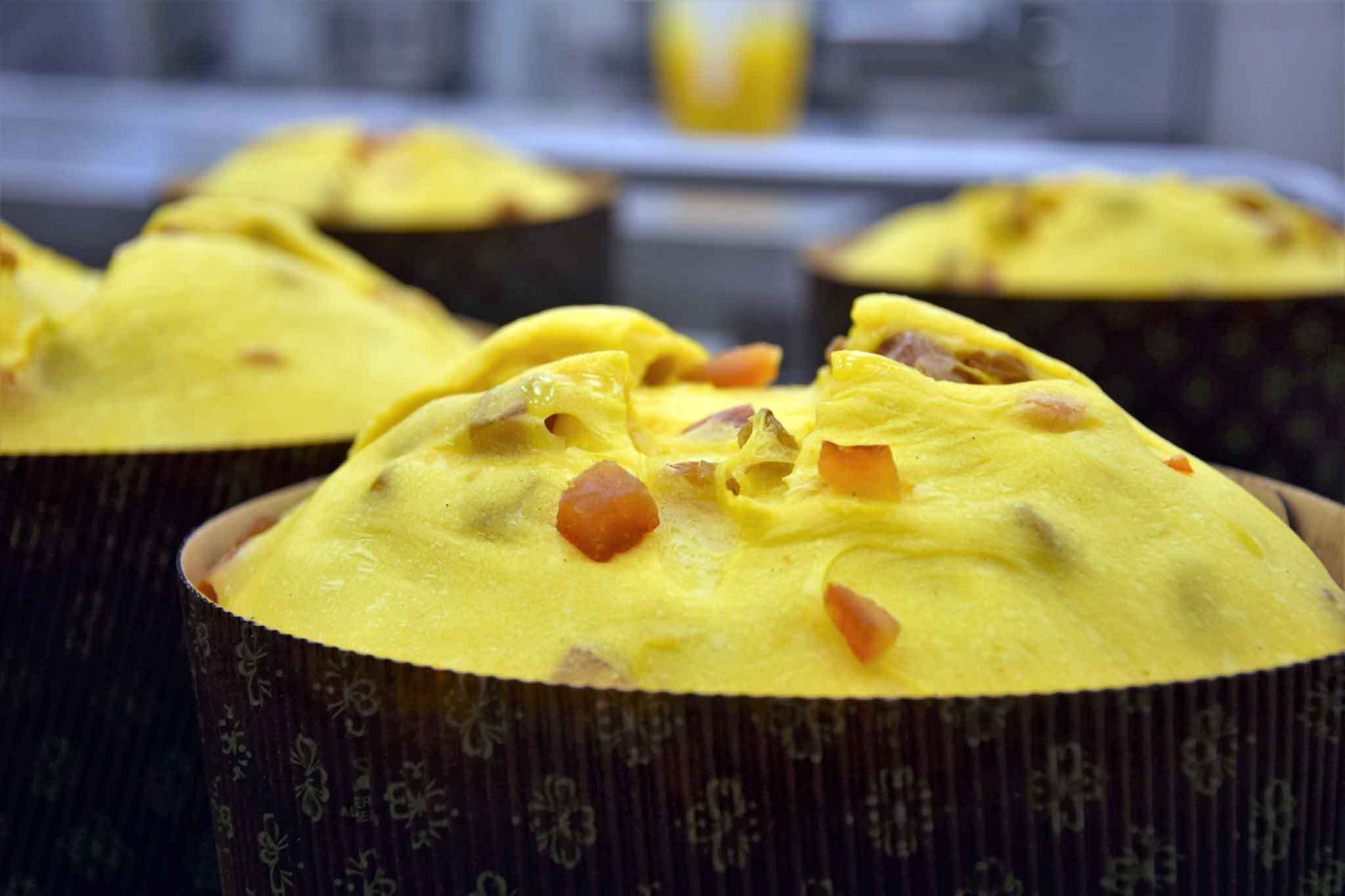 Lametta Panettiere Lievitati