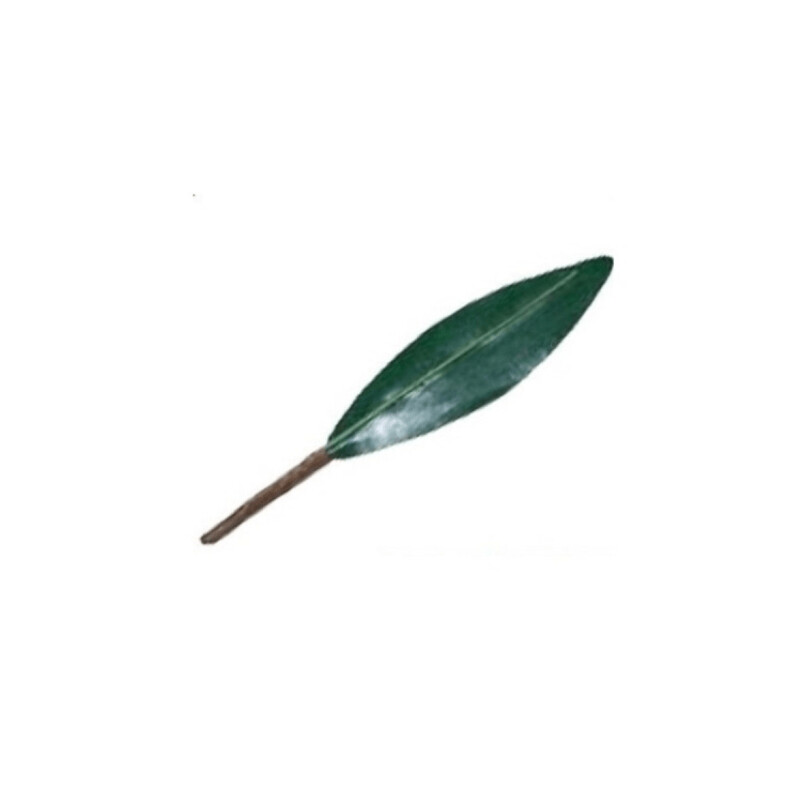 Foglie Pesco Frutta Martorana 25 pezzi