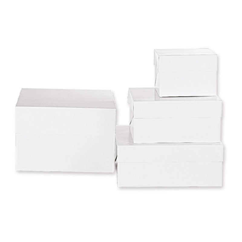 Box Portatorte Rettangolare 40,5 x 60,5