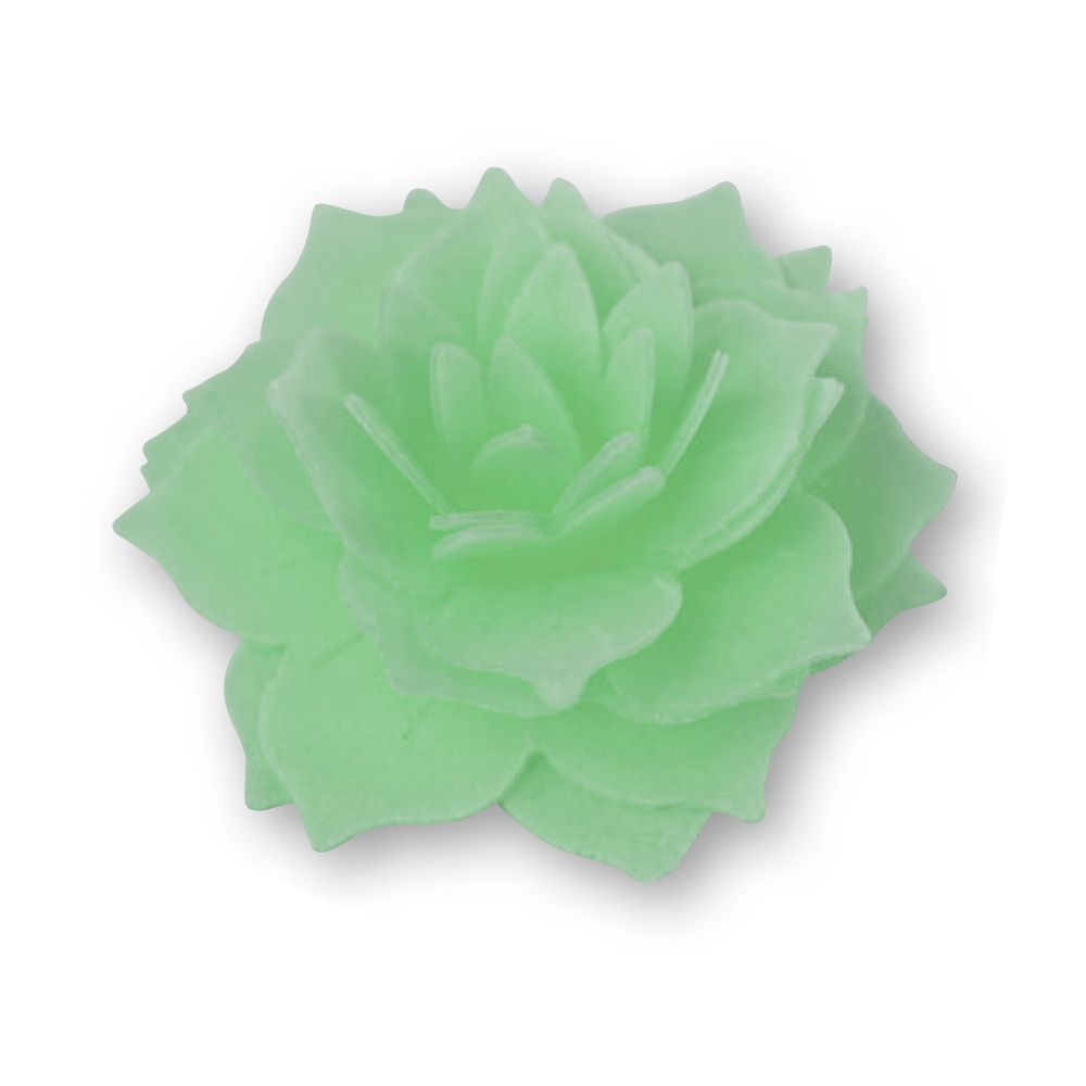 Fiori in Cialda Dalia Colore Verde Pezzi 100
