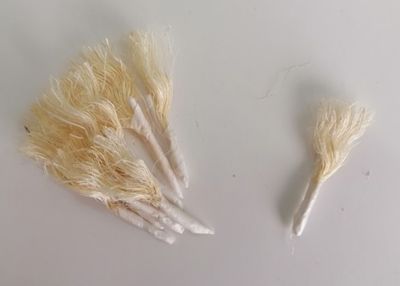 Foglie Barba Aglio Frutta Martorana 25 pezzi Foglie Barba Aglio Frutta Martorana 25 pezzi