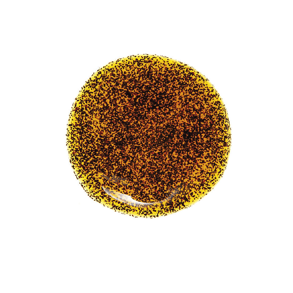 Pasta Vaniglia Bourbon Agrimontana Kg 1,400