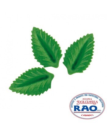 Foglie Ostia Verde Pezzi 100 Foglie Ostia Verde Pezzi 100