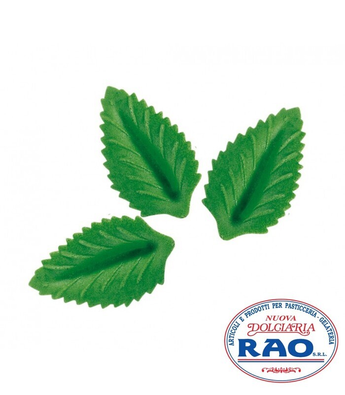 Foglie Ostia Verde Pezzi 100 Foglie Ostia Verde Pezzi 100