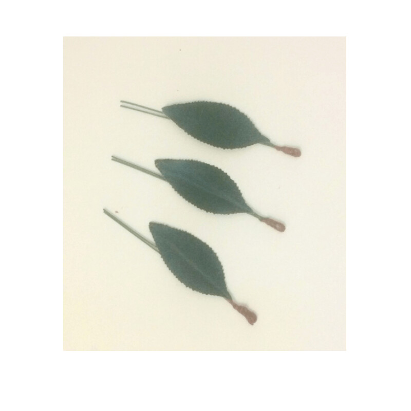 Foglie Ciliegia 2 Gambi Frutta Martorana 25 pezzi