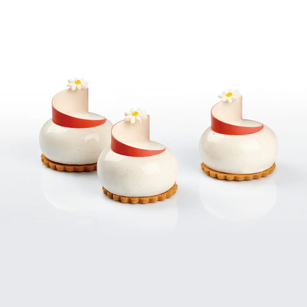 Stampo Silicone Pavoflex "Nautilus" PX4321