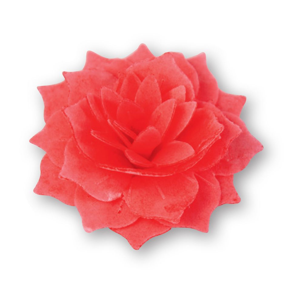 Fiori Cialda Dalia Colore Rosso Pezzi 100